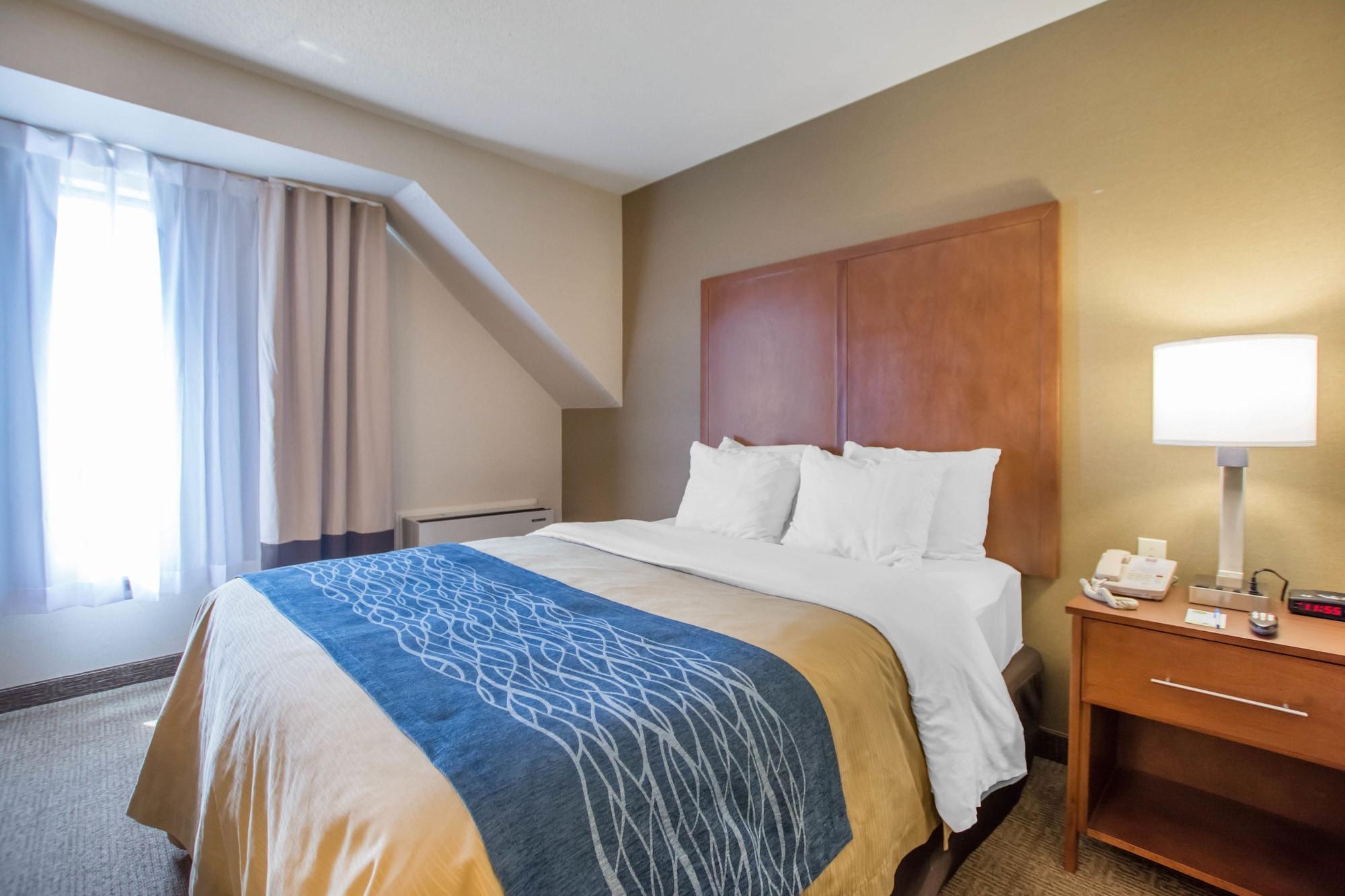 Comfort Inn Bathurst Exterior foto